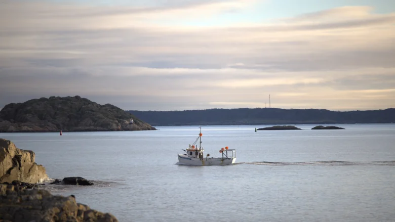 Fiskebåt