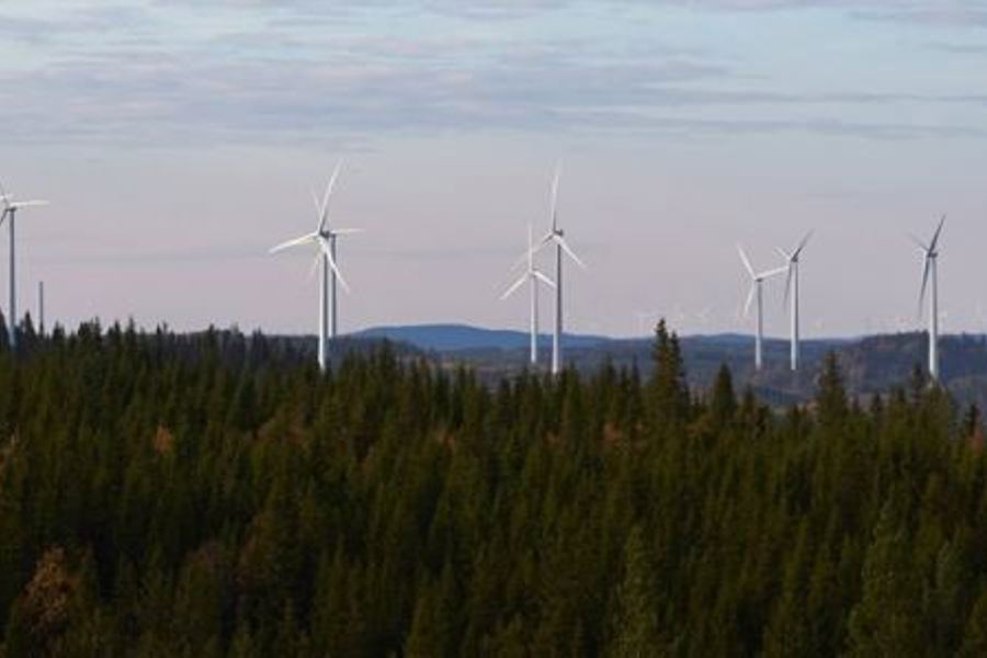 Björkhöjden