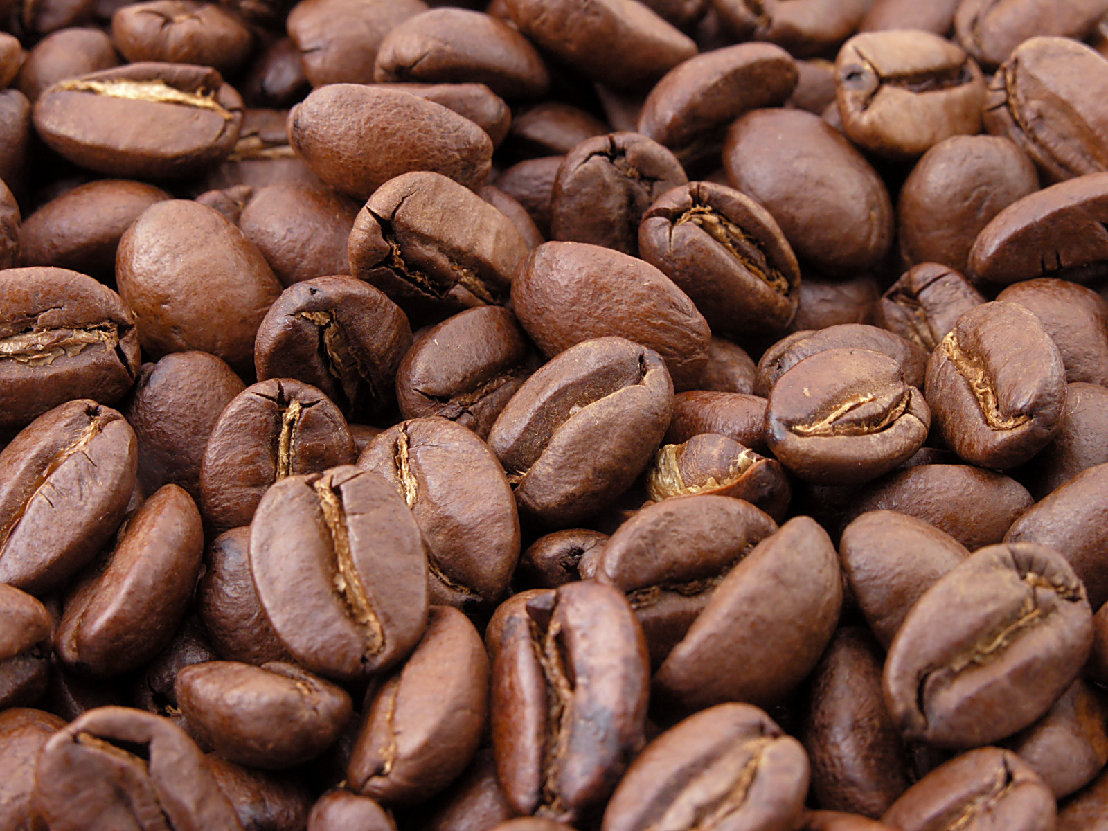 Rostade kaffebönor. Fri bild tagen av Mark Sweep.